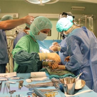  Afksendiyos Kalangos Kalangos Foundation 3 20191029 1290157390