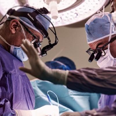 Afksendiyos Kalangos Kalangos Foundation 8 20191026 1526356324