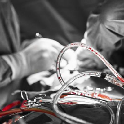 Afksendiyos Kalangos Kalangos Foundation 18 20191011 1228265382